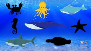 Sea Animals Puzzle for Kids - Ocean Animals Puzzle – Sea Animals Names