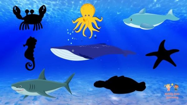 Sea Animals Puzzle for Kids - Ocean Animals Puzzle – Sea Animals Names