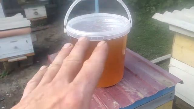 Майский мёд смотреть онлайн