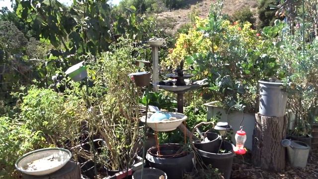 DIY Solar Water Fountain Birdbath Panel HOLDER Make Free Stand for Garden for Hummingbirds & Birds смотреть онлайн