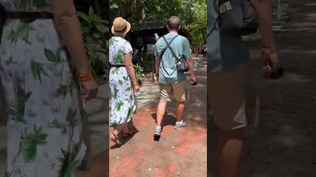 Малайзия. Malaysia. 马来西亚。 смотреть онлайн