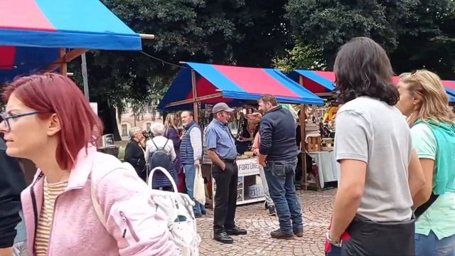 Где взять бесплатно одежду? Ярмарка продуктов. Украинцы в Швейцарии. смотреть онлайн