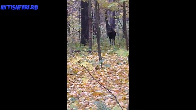 крути башкой 1 смотреть онлайн