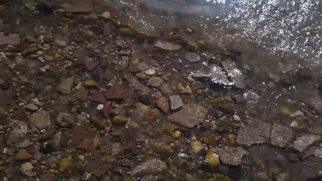 Солнце, пляж, как убирают мусор на пляже смотреть онлайн