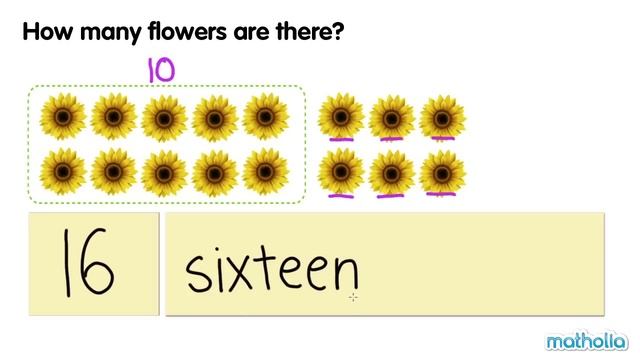 Numbers From 11 To 20