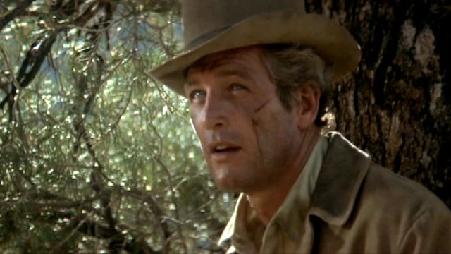 Paul Newman_ In Memoriam