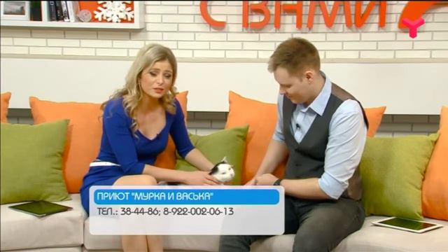 Пончик ищет друзей - "Утро с вами" 24.12.2019 смотреть онлайн