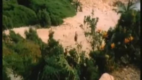 Il signor Robinson   Mostruosa storia d'amore e d'avventura