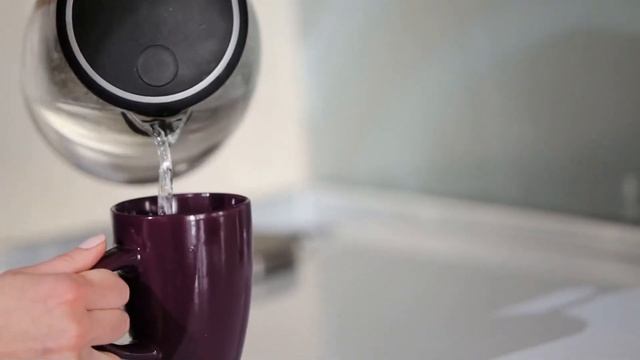 Люди взяли домой элитного кота, но после очередной выходки животного совершили... смотреть онлайн