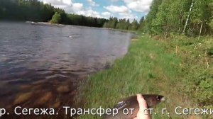 Рыбалка на реке Сегежа. В поисках хариуса. Активная щука.