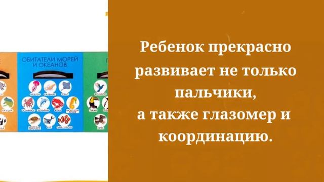 Сортер три ящика