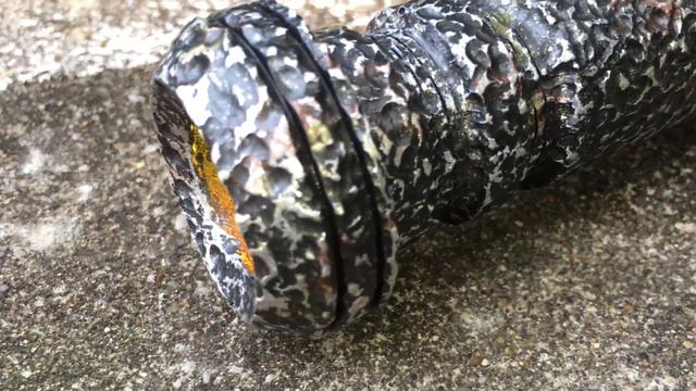 Saberforge Gladius Art - Weathering by Si Waldron смотреть онлайн