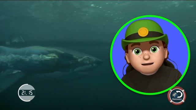 LIAM REACTS to SHARK vs. MICHAEL PHELPS смотреть онлайн