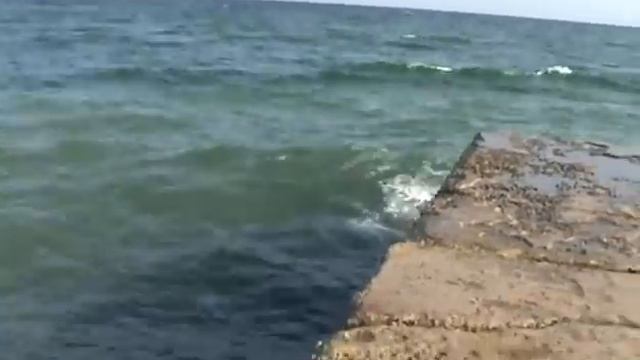 Море с мола у "Багдада" пос. Приморский 2008 г..avi смотреть онлайн