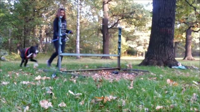 ЯРКОЕ БУДУЩЕЕ ИЛИ СПОРТИВНЫЕ ЗАБАВЫ?//Первые шаги к каникроссу. смотреть онлайн