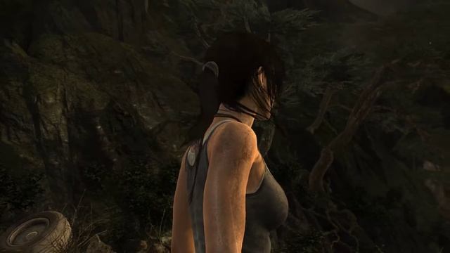 Tomb Raider 2013 - GTX660 sli смотреть онлайн