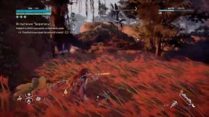 Horizon Zero Dawn испытания охотника - рыскари