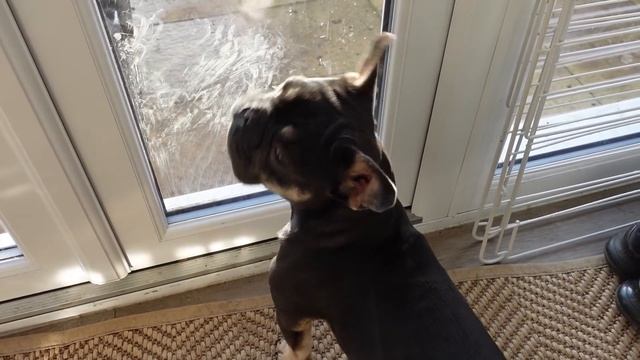 KAILEM'S 15th BIRTHDAY OPENING PRESENTS & PARTY SURPRISE!! смотреть онлайн