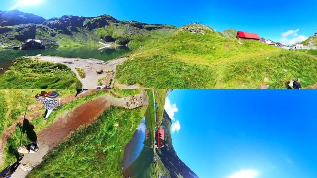 Зустріли ДИКИХ ведмедів!!! Як нас наздоганяла ПОЛІЦІЯ... Video 360. смотреть онлайн