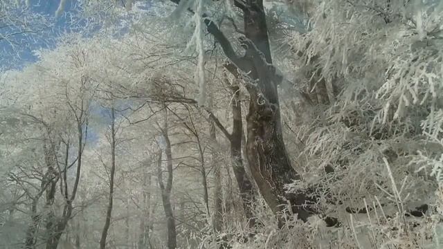 О, душа, что тебе не хватает... смотреть онлайн