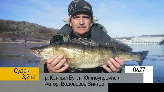 Фотоальбом - Рыбалка №125 смотреть онлайн