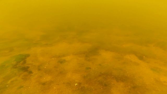 Едем на Москва-реку смотреть онлайн