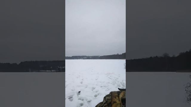 Эксперт по рыбалке гид по жизни)))) смотреть онлайн