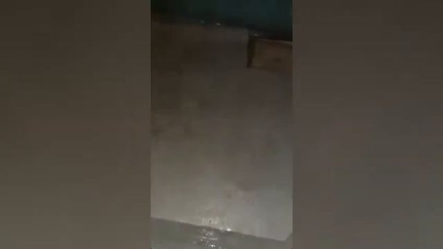 «Берите тряпочку и вытирайте»: коммунальщики реагируют на потом в квартирах после дождя в Волжском смотреть онлайн