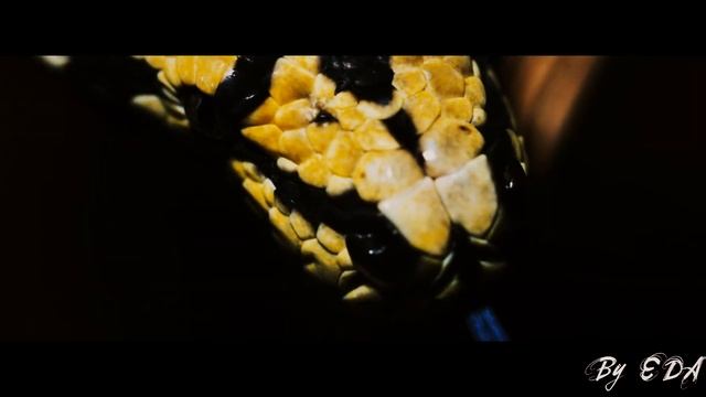 AU! Fanfic! I'm in love with the devil #jimin #taehyung #yoongi #jungkook #namjoom #seokjin смотреть онлайн