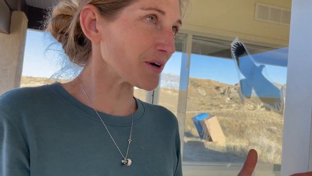 What is a Centrosaurus Dino Dig Like? смотреть онлайн