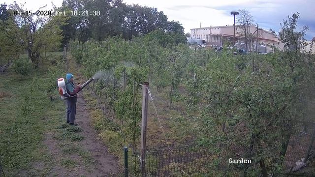 Очередная обработка сада фунгицидами смотреть онлайн