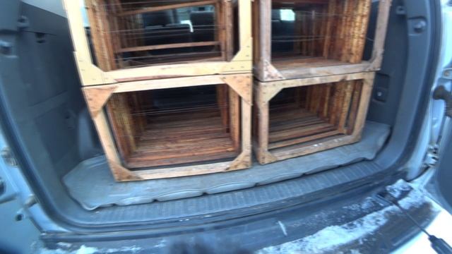 ПОВЁЗ РАМКИ НА ПАСЕКУ В РАМОНОСАХ, СУШКА ПЕРГИ, ЗИМОВКА ПЧЁЛ. смотреть онлайн