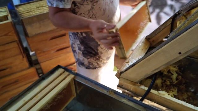 Станок для распечатывания сотовых рамок паровым ножом. Наша Пасека - 02.08.18 смотреть онлайн