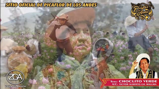 Picaflor de los Andes - CHOCLITO VERDE смотреть онлайн