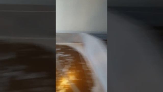 Разведение креветок во Вьетнаме. Кормление цистой артемия. Командировка ООО"НЭКА". смотреть онлайн