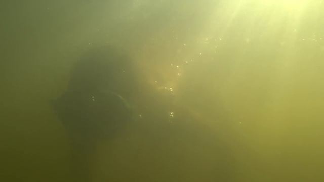 Едем на пруд в с.Вердерево.. смотреть онлайн