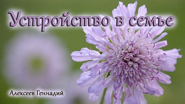 Устройство в семье_Алексеев Геннадий смотреть онлайн
