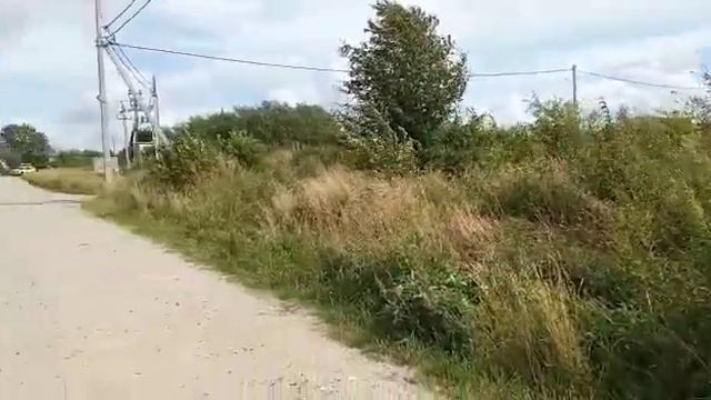 Участки в Куликово Зеленоградского р-на Калининградская область смотреть онлайн