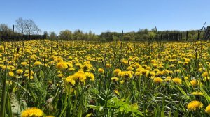 ВсЁ когда-то в первый раз...