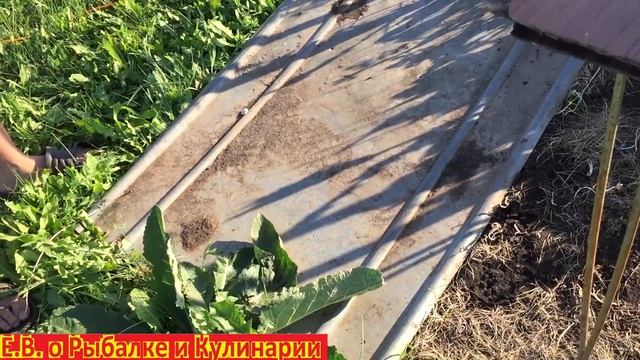 Моя муравьиная ферма своими руками на даче.Прикол.Муравьиная ферма своими руками за неделю. смотреть онлайн