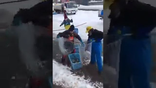 Как японцы ловят рыбу смотреть онлайн