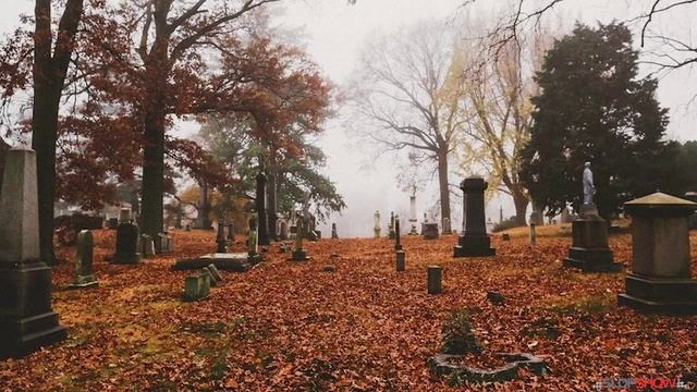 Истории у костра #21 | Глаза были мутные... смотреть онлайн