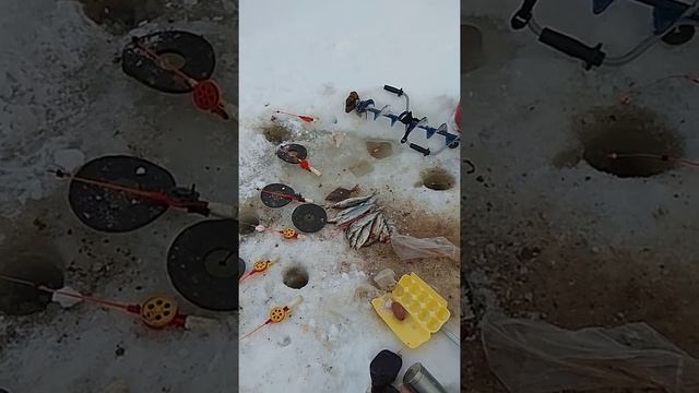 Кегостров 4 марта . смотреть онлайн