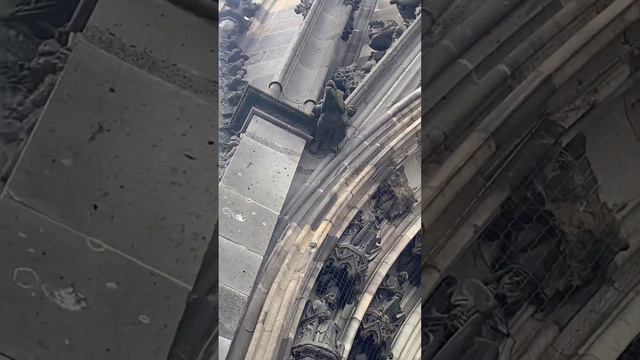 Кёльнский собор. #polinkamalinkatv смотреть онлайн