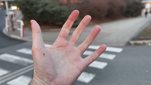 Vivo X100 Pro: camera test (4K, 60 fps) смотреть онлайн