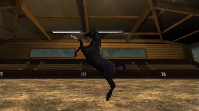 SSO !SPOILER! - New Marwari Horse with NEW BRIDLE - Animations, Manestyles, Stats and more смотреть онлайн