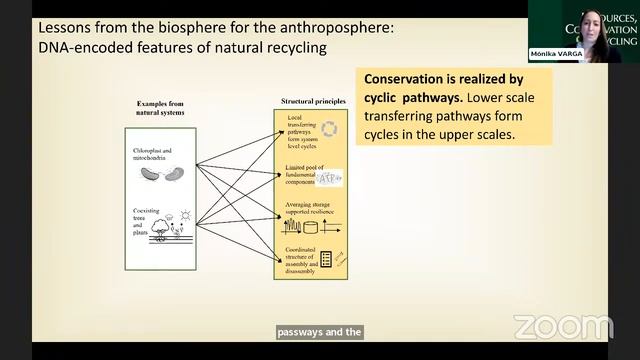 Monika VARGA: Process structure pathway analysis for conservation-supporting assembly/disassembly смотреть онлайн