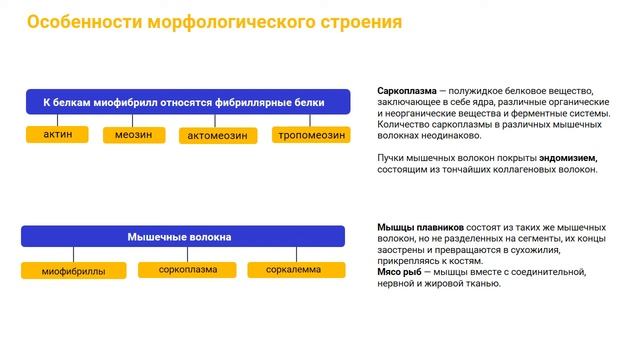 Уборка и стильный дом