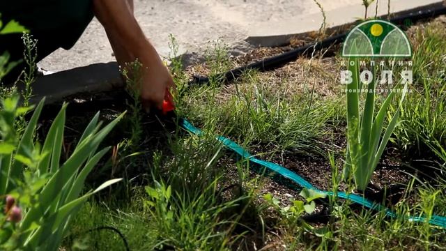 Шланг для полива Дождеватель смотреть онлайн