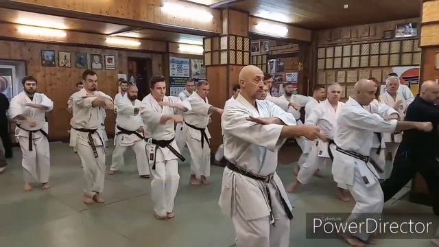 Николай Коровин 6 дан Сёриндзи рю Каратэ / фрагмент выступления Будо академия 35 29.12.2019 смотреть онлайн